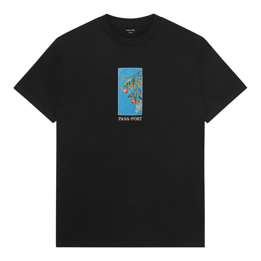 Passport Quandong Tee - Black | Pavement