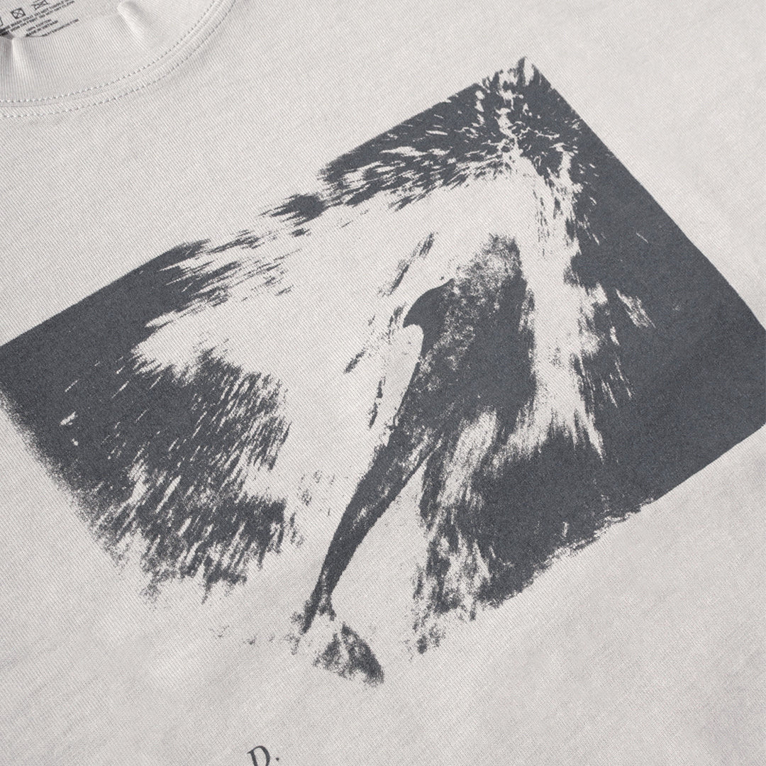 Daylight Dive Tee in Grey/Black | Shop Daylight Skateboards online with Pavemetn Skate Store with free Aotearoa NZ shipping on orders over $100!
