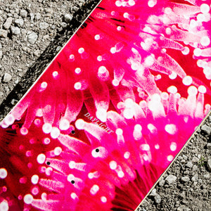 Daylight Jewel 8.25" Skateboard Deck - Pink | Shop skateboard decks online with Pavemetn Skate Store with free Aotearoa NZ shipping on orders over $100!