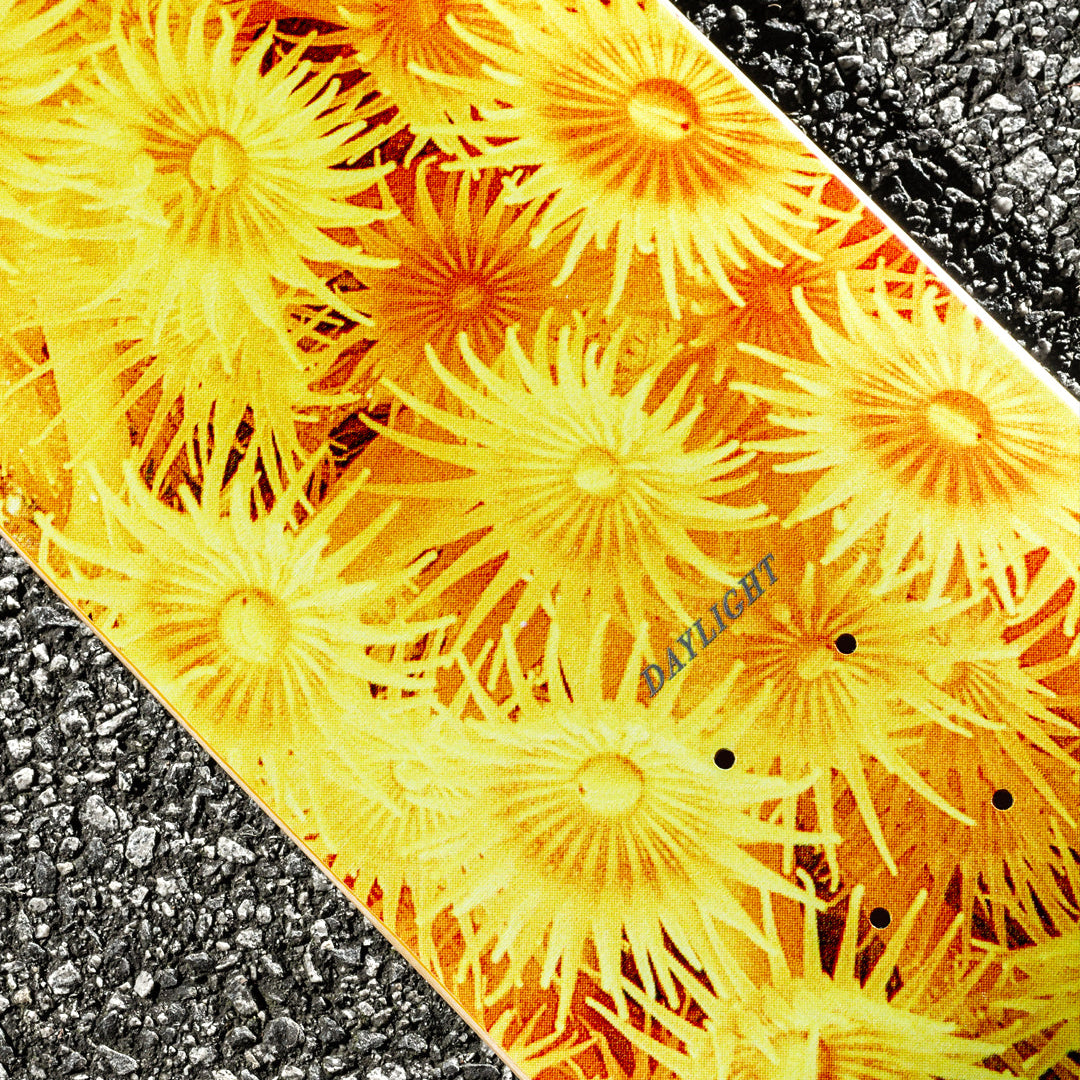 Daylight Zoanthid Yellow 8.25" Skateboard Deck | Shop skateboard decks online with Pavemetn Skate Store with free Aotearoa NZ shipping on orders over $100!