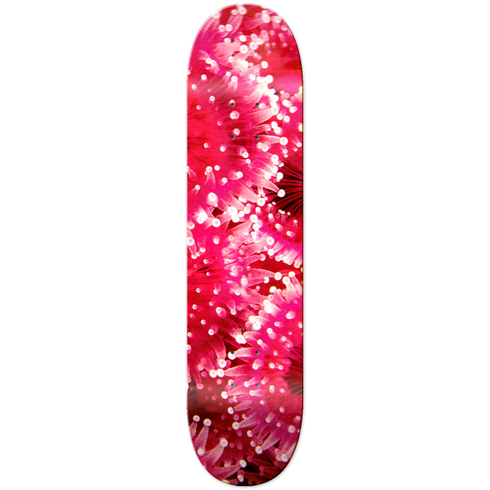 Daylight Jewel 8.25" Skateboard Deck - Pink | Shop skateboard decks online with Pavemetn Skate Store with free Aotearoa NZ shipping on orders over $100!