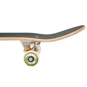 Deca Murphys Cactus Free Hugs Complete Skateboard 8.0" | Buy skateboards online with Pavement Skate Store with free Aotearoa NZ shipping over $100*!