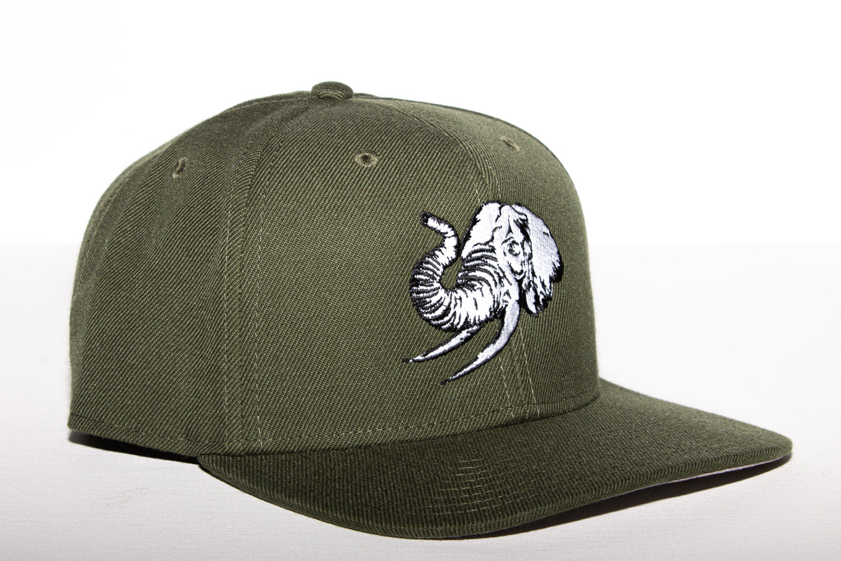UNCONDITIONAL ELEPHANT IN THE ROOM CAP - GREEN