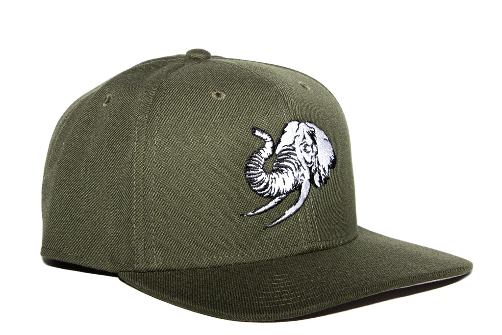 UNCONDITIONAL ELEPHANT IN THE ROOM CAP - GREEN