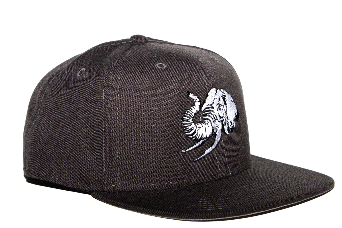 UNCONDITIONAL ELEPHANT IN THE ROOM CAP - METAL