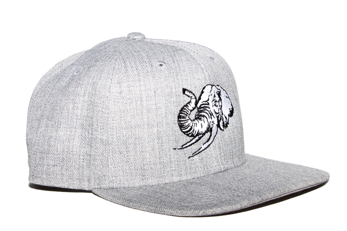 UNCONDITIONAL ELEPHANT IN THE ROOM CAP - GREY