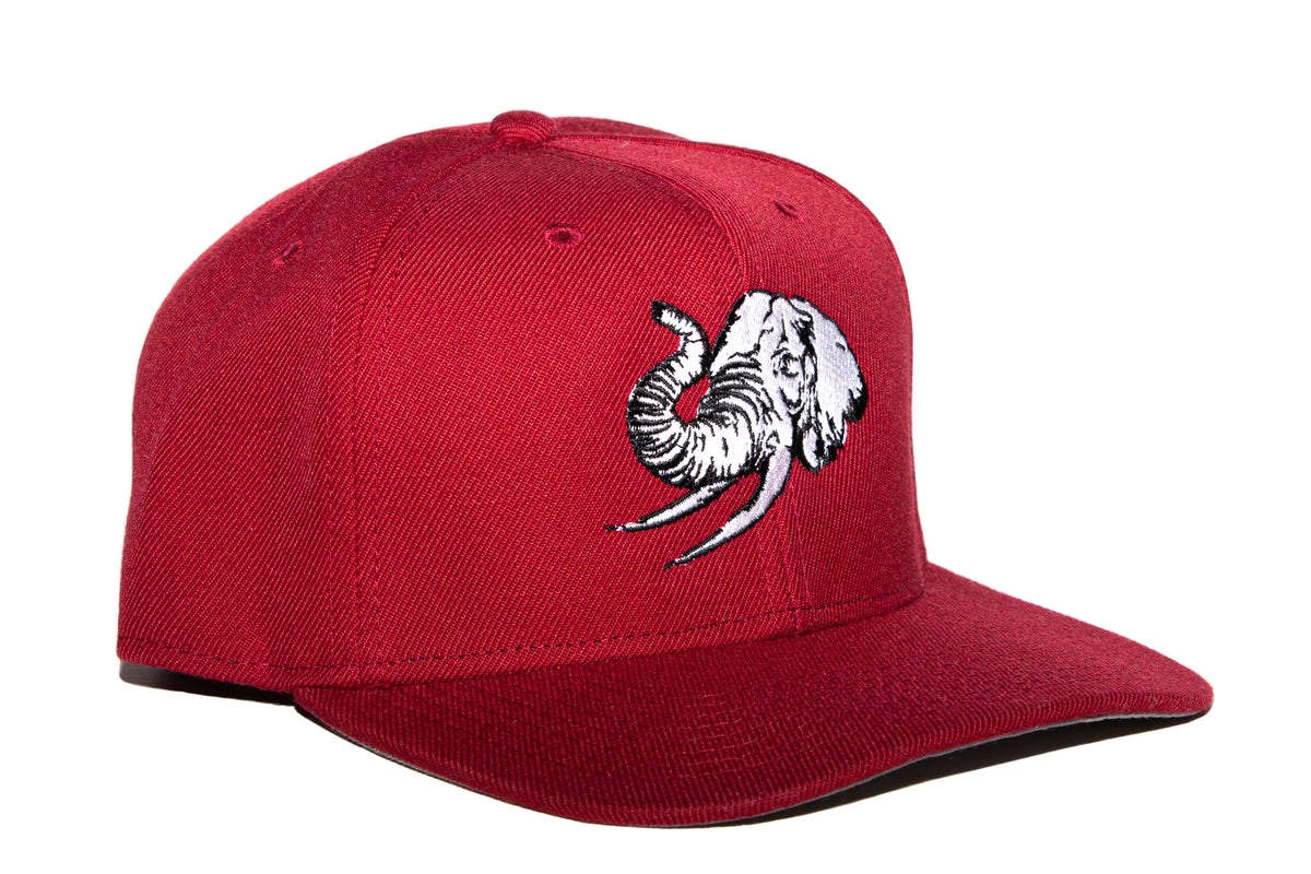 UNCONDITIONAL ELEPHANT IN THE ROOM CAP - RED